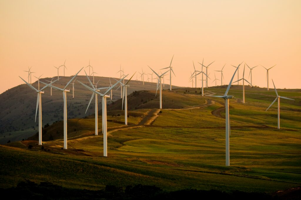 Wind farm representing renewable generation and clean energy transition